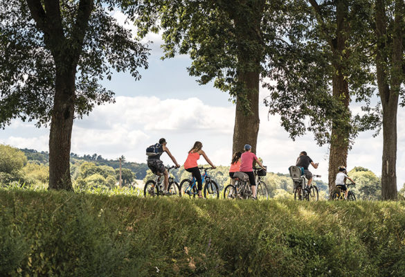 Vom-Main-zur-Aisch-Radweg